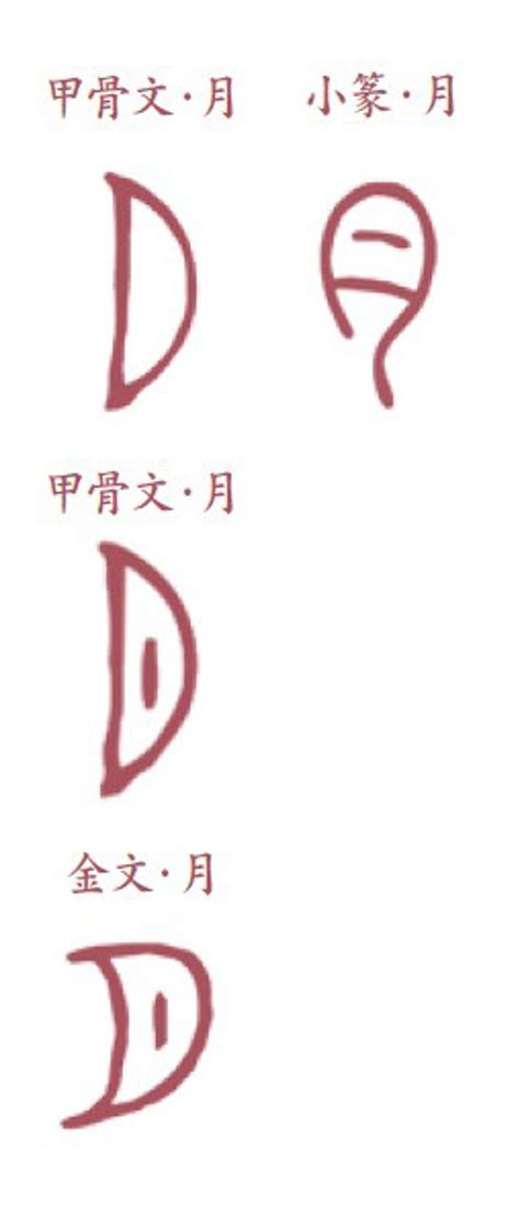 月的古字|月（汉语文字）